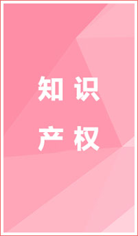 知識產(chǎn)權